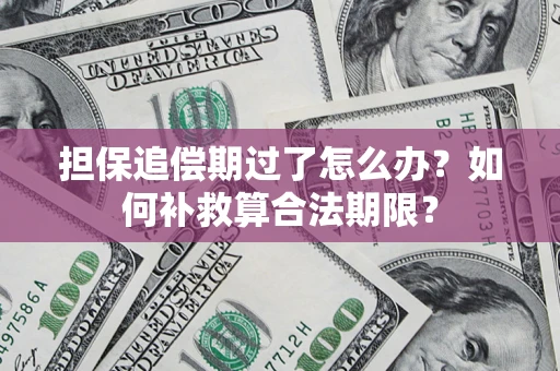 济南担保追偿期过了怎么办？如何补救算合法期限？