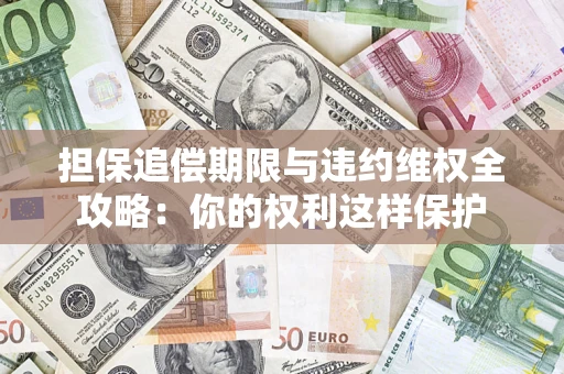 济南担保追偿期限与违约维权全攻略：你的权利这样保护
